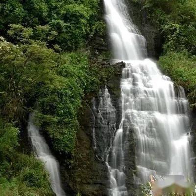 流鼻血了要怎么办？